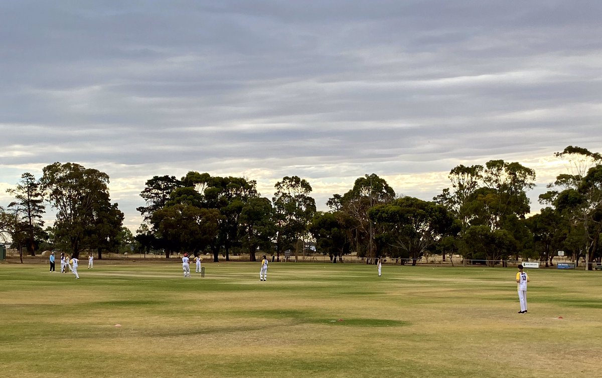 chez_dreckow's tweet photo. Beautiful evening in the Barossa for girls cricket #sacacup #epteam #beersaretastinggood https://t.co/TyWQr1JSpA