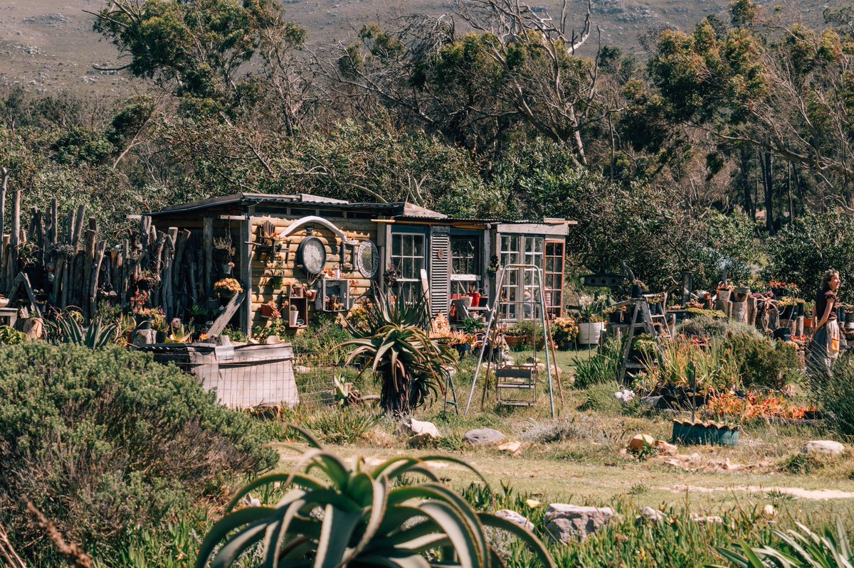 Getting nestled in nature with scones made in a wood-burning oven and homemade jam. What more do you need? 🤷🌿🍓 
Welcome to the Scone Shack situated on Lalaphanzi farm, Cape Point. Helping you get through the week Wednesday-Sunday with tasty treats and top vibes 🙏🌼