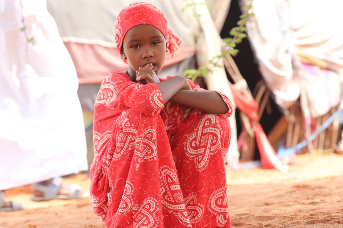 EqualAccessIntl's tweet photo. Dear friends and supporters of EAI, Please help us continue to do our work for peace and stability around the world. Learn more about us and donate today! https://t.co/NrhufbQckM https://t.co/xwsL4CC1E4