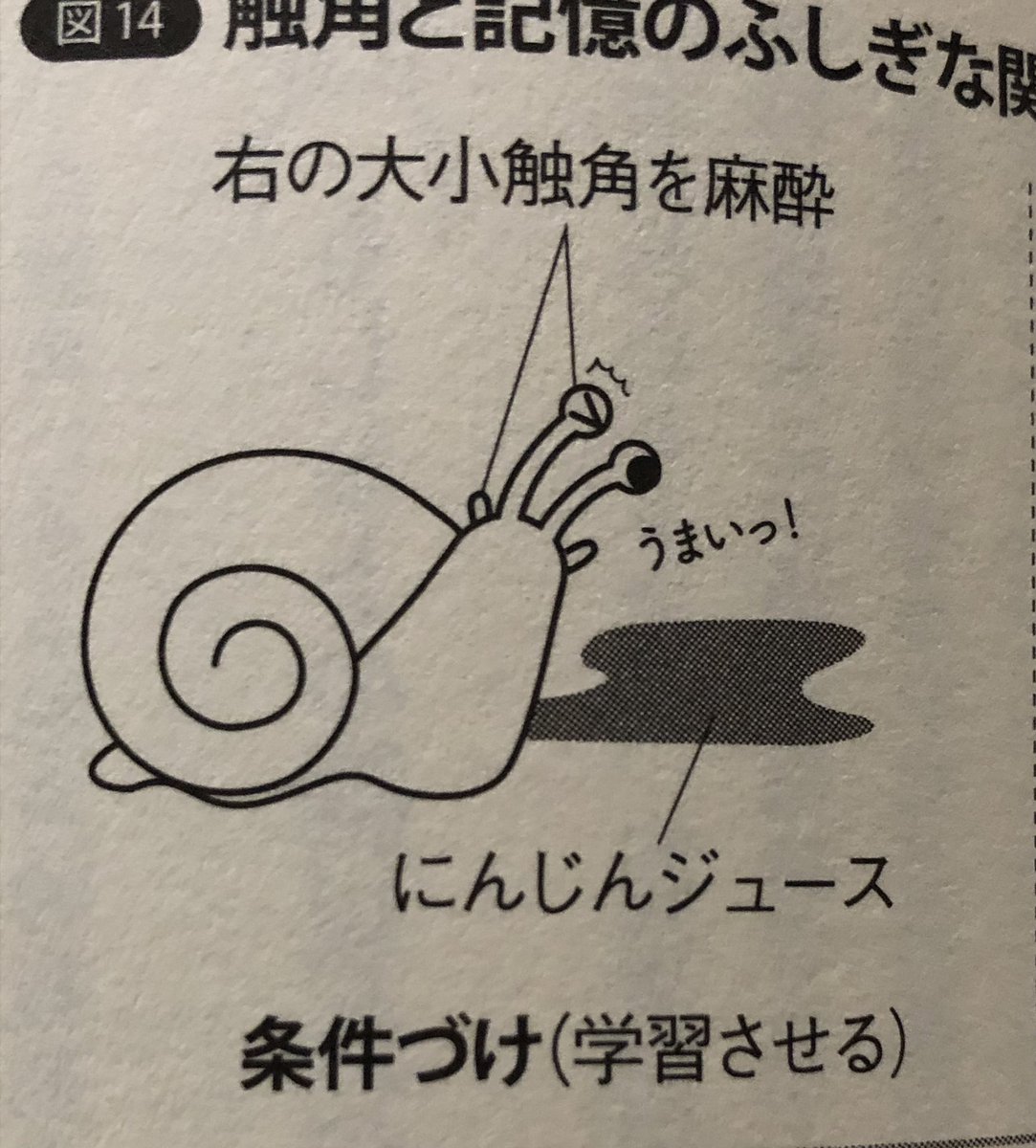 図がぜんぶかわいい 