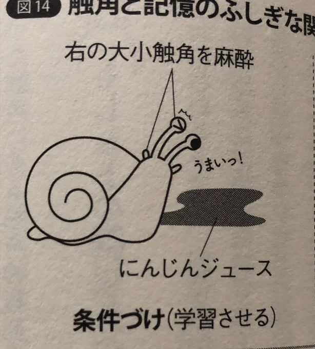 図がぜんぶかわいい 