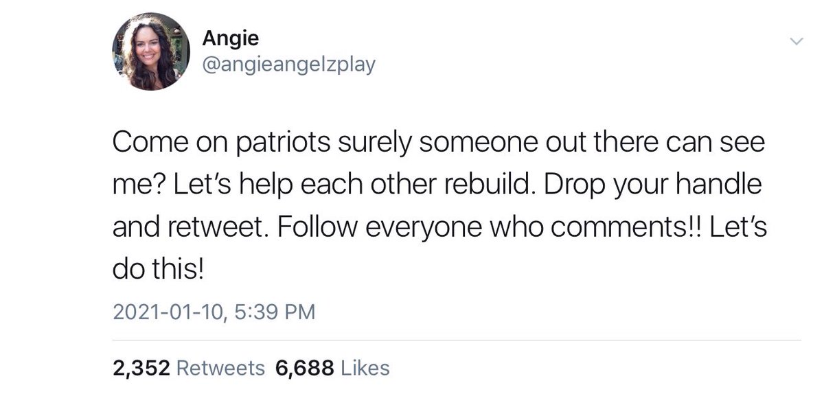 Looks like, with Parler being shutdown, the so called "Patriots" have no where to go, so they are changing their Twitter handles that do not identify them as "Patriots"