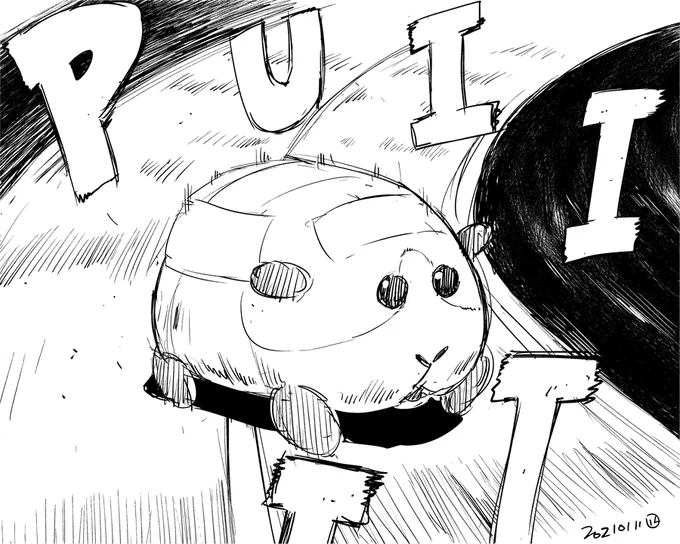 モルカーおもしろかった 