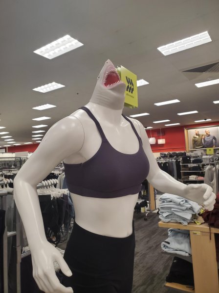 yet another unrealistic body standard for women