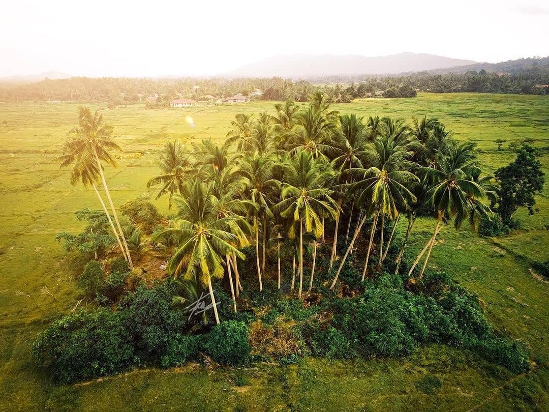 LokalExplore's tweet photo. Cantiknya pemandangan. Tenang je rasa...
Round pushpinKampung Padang Maras, Terengganu, Malaysia
.
A stunning photos by 
nikfirdaus_42 (instagram)
.
Explore Lokal Dululah!

#explorelokal #traveldalamnegara  #visitmalaysia
#cuticutimalaysia #exploreterengganu https://t.co/i7tYMxy109