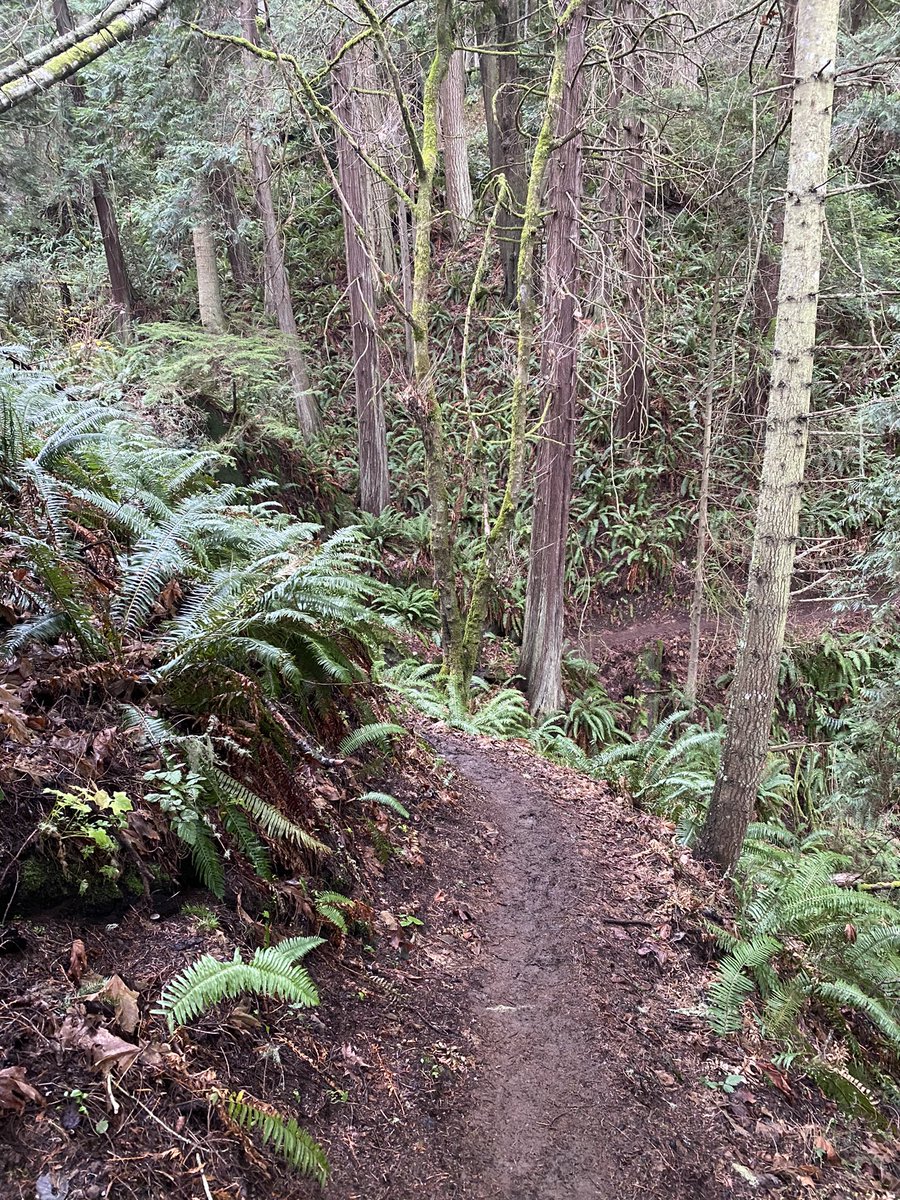 cheyenne_palmo's tweet photo. My friends help maintain this trail! How dope is that! And the beach! Wow! 

Striped peak and Freshwater bay today :) https://t.co/Qh6WHVC9F9