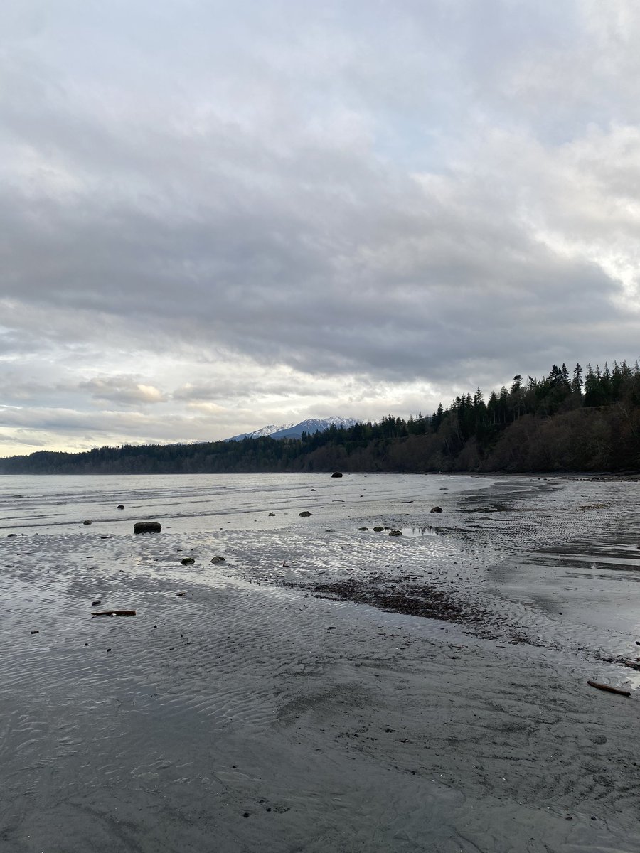 cheyenne_palmo's tweet photo. My friends help maintain this trail! How dope is that! And the beach! Wow! 

Striped peak and Freshwater bay today :) https://t.co/Qh6WHVC9F9