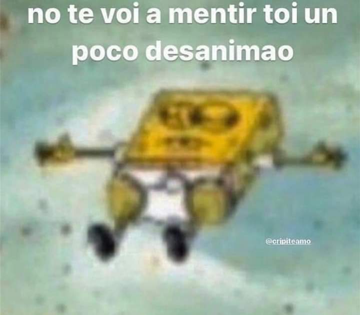 marle🦋 tweet media