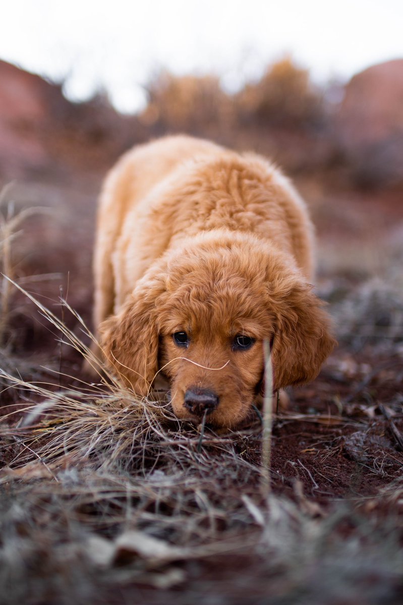 Dave Catuccio tweet media