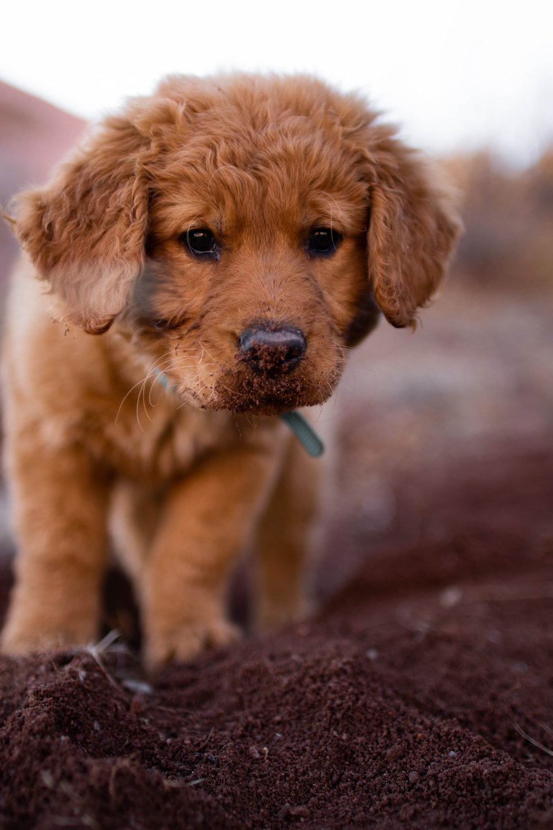 Dave Catuccio tweet media