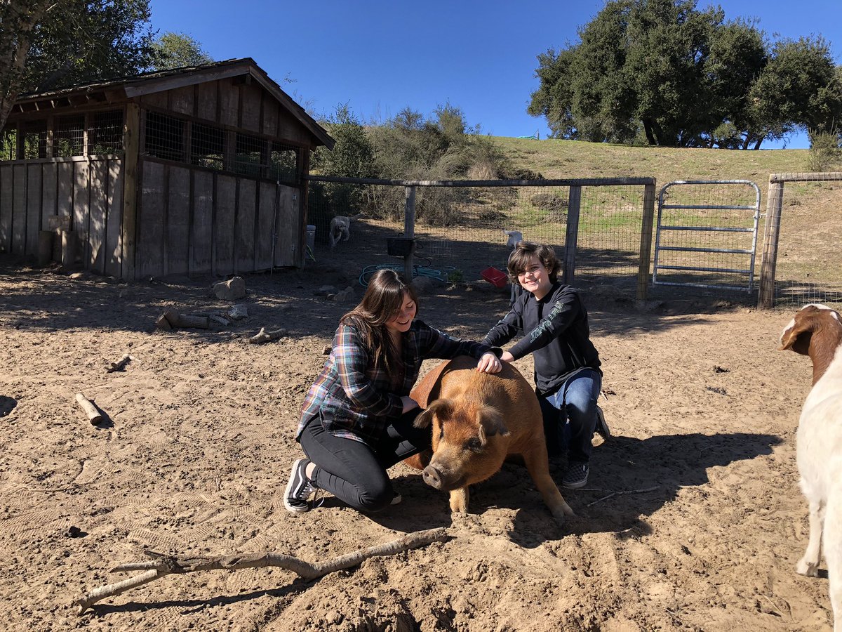 carsonbolde's tweet photo. Thank you for having us #zacacreekranch. We had a great time! https://t.co/KZKVEmO7Dp