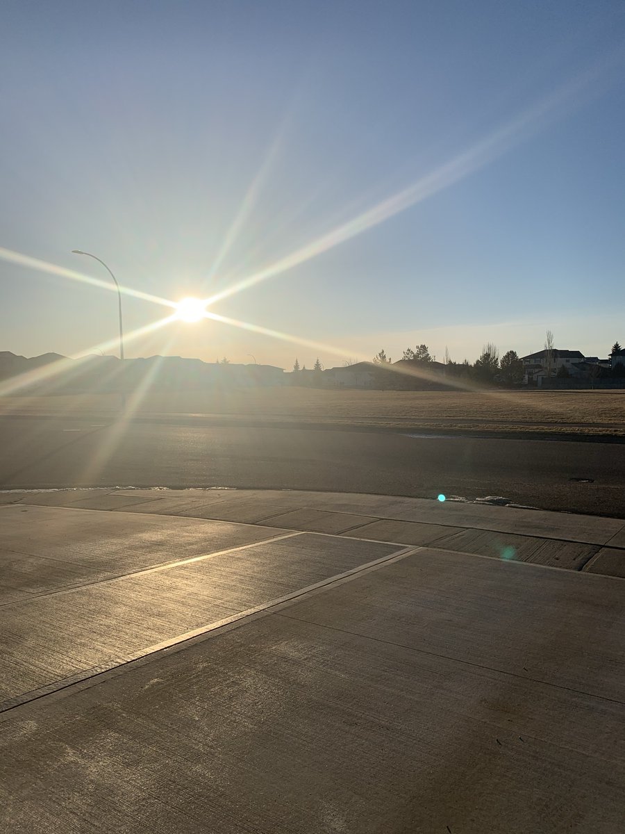 C_LynnWesterman's tweet photo. Loving 🥰 our weekend strolls in this beautiful ☀️ weather!!

What did you get up to this weekend!? https://t.co/O5SyZGeDmL