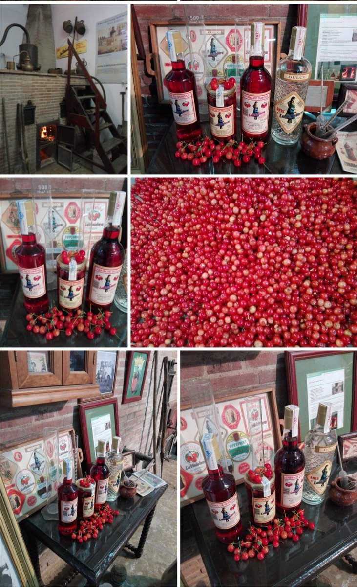 Historia, tradición, calidad, un clásico Anís La Violetera desde 1961