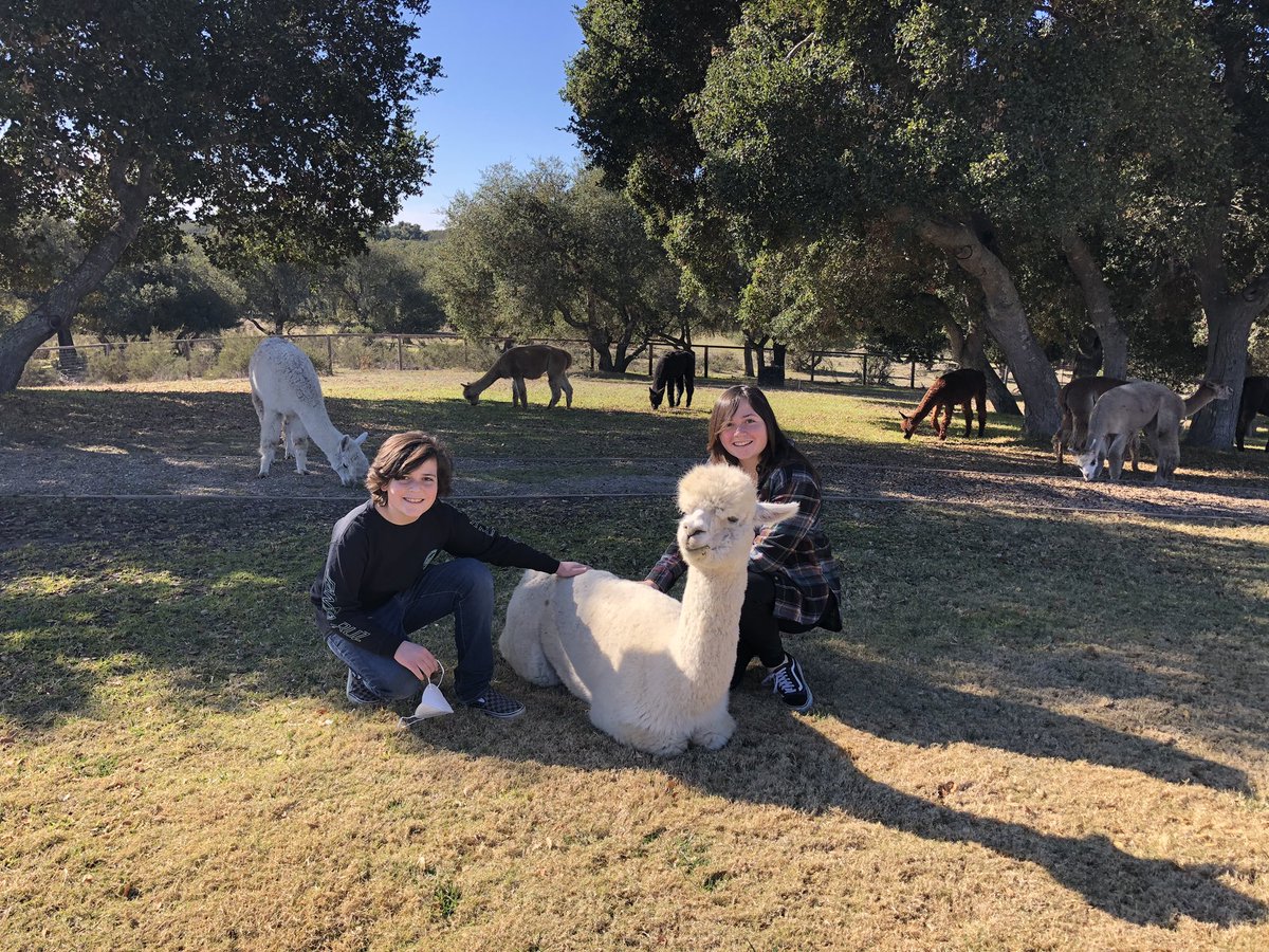 paigebolde's tweet photo. I had a great time at Zaca Creek Ranch! I loved seeing all the animals, especially Walker the pig and all the alpacas &amp; llamas! https://t.co/CH4Sgr29ge