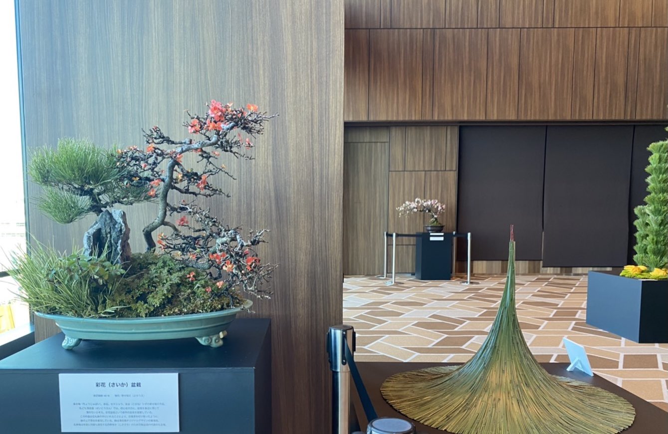 ☆ ダニエル・オスト 第3作目 作品集 「 LEAFING THROUGH FLOWERS