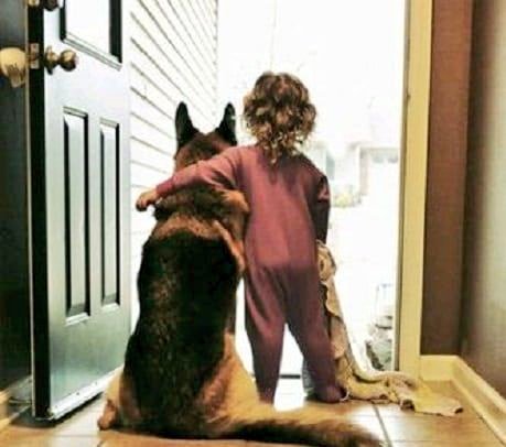 Dışarı çıkmanın
 Ve 
Güzel günler görmenin
İnce hesaplarını
Yap çocuk
Hayat dışarda
Yaşanır..

Günaydın mutlu sabahlar 🌈
#Pazartesi
#Yenihafta