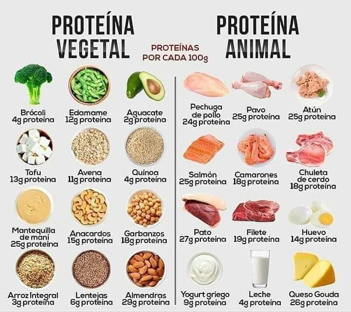 Tipos de proteína 💪