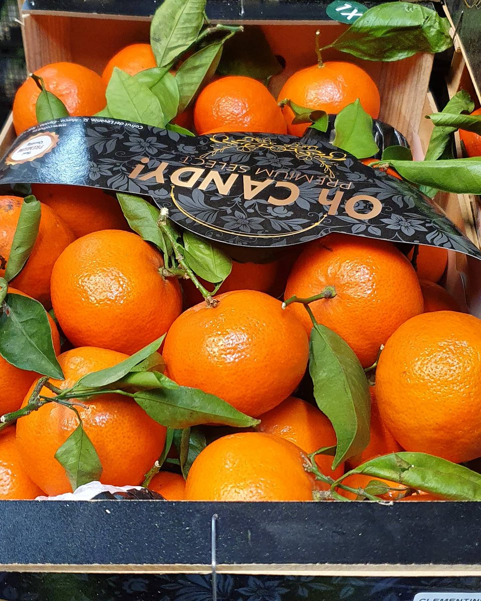 FrenchGardenBr's tweet photo. Lovely Clems and Leafy Clem in this morning. Spanish weather making it a little tricky to source certain produce at the moment but we always do our best to get hold of it. 🍊
#clementine #leafyclem #spanish #fgb #bristolfruitmarket #wholesaler #vegbox https://t.co/9QbVD81kTY