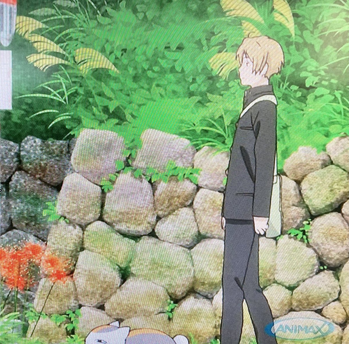 京都 十色髪 ショウザブ アニマックス 夏目友人帳 一挙 放送中 なう