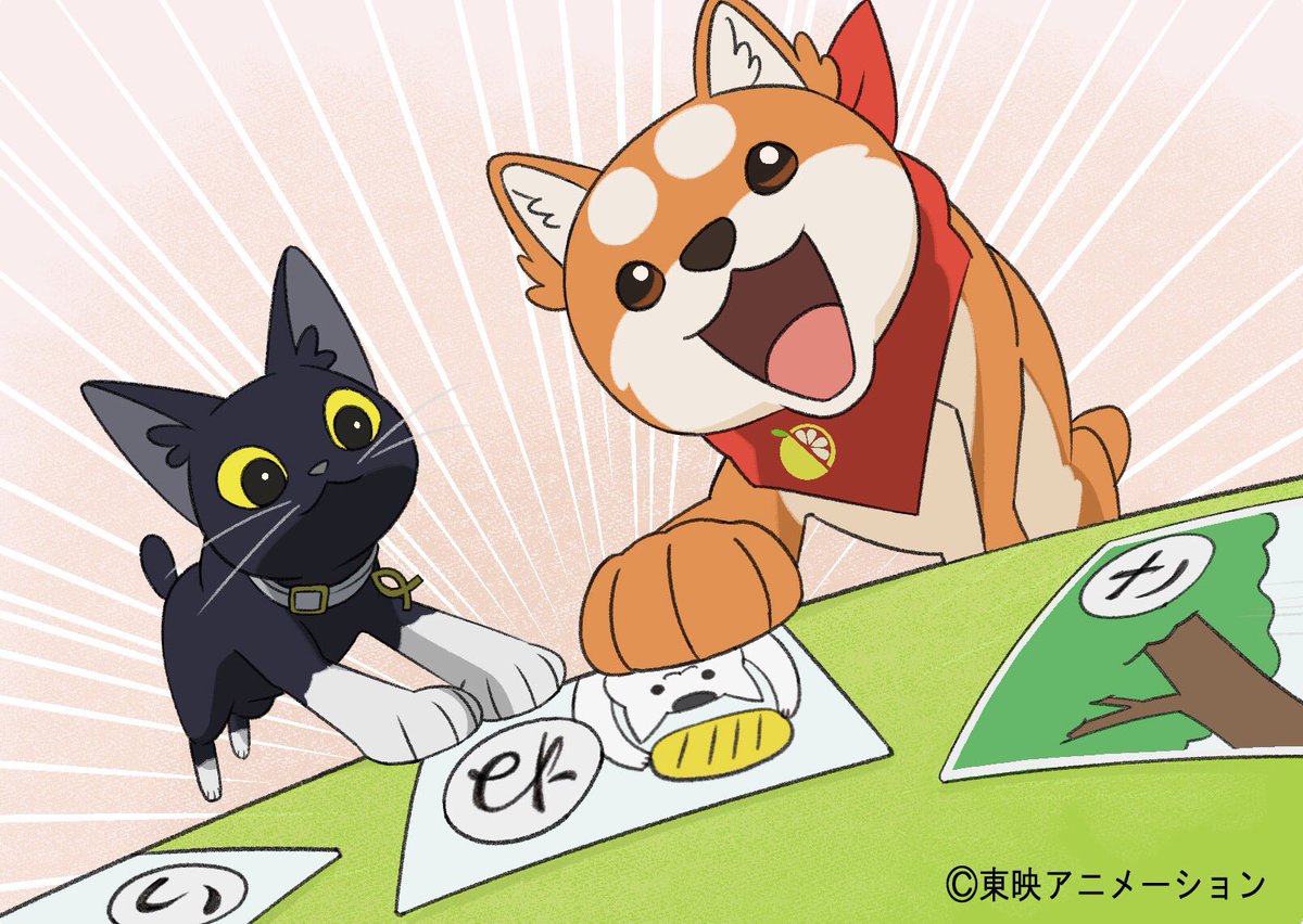 アニマルセラトピア 公式 カルタって久しぶりにやると面白いですね スイくんはリーチの差をもろともせず 勢い良くカードを取りにいってました アニトピ 管理人