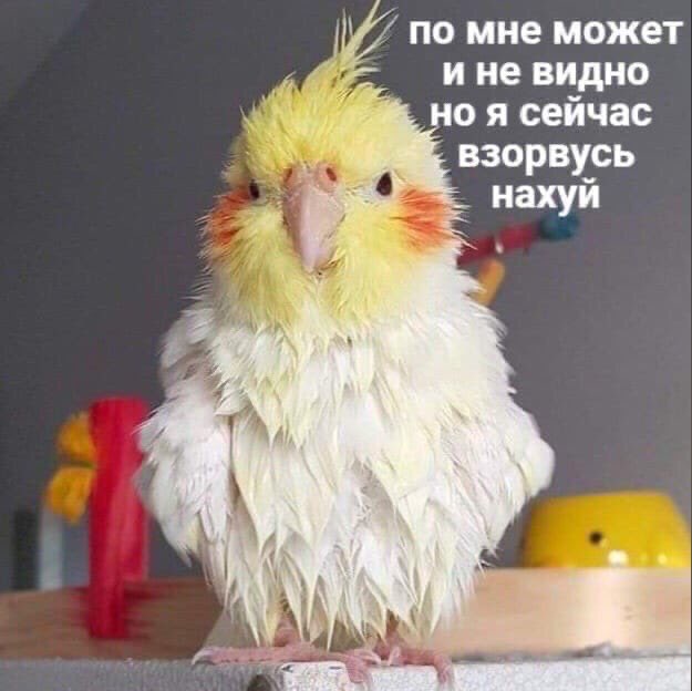 sofia_borisova2's tweet photo. @_tweet_aa https://t.co/GXedAZQh6s