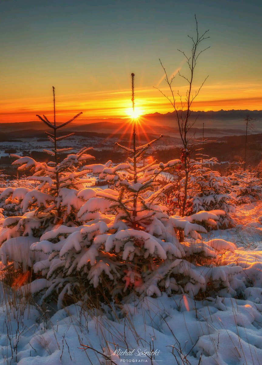 semljnika's tweet photo. Happy new week everyone🌞 https://t.co/Hm8AXULDSi