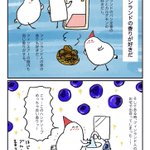 行ってみたくなってきた!フィンランド旅行に行くと必ずフィンランドの香りを持ち帰るお話!