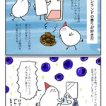 行ってみたくなってきた!フィンランド旅行に行くと必ずフィンランドの香りを持ち帰るお話!