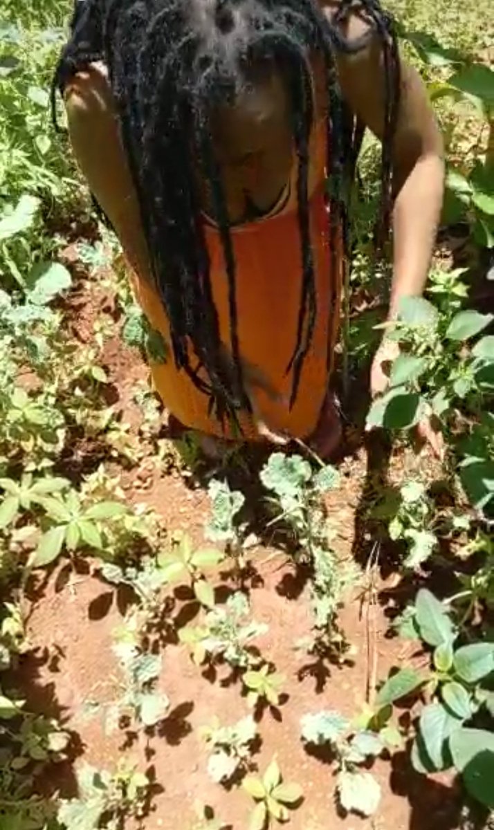 GwiziSoneni's tweet photo. #MaskUp 
#30daysLockDown means 
#StayAtHome unless if you're an essential worker
#COVID19 is real
Prevention is better than cure fam. Your health is your wealth. While you hustle #WearAMask #WashYourHands #SocialDistancing 
Avoid crowds such #parties #funerals 

#LadyFlawsome https://t.co/tJLlkLeezg