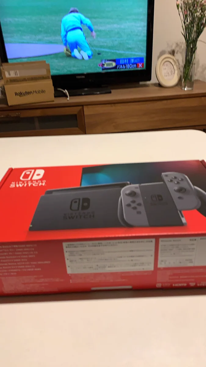 大人になったら好きなだけゲームをできると思ったのに？やっぱり邪魔が入るwww
