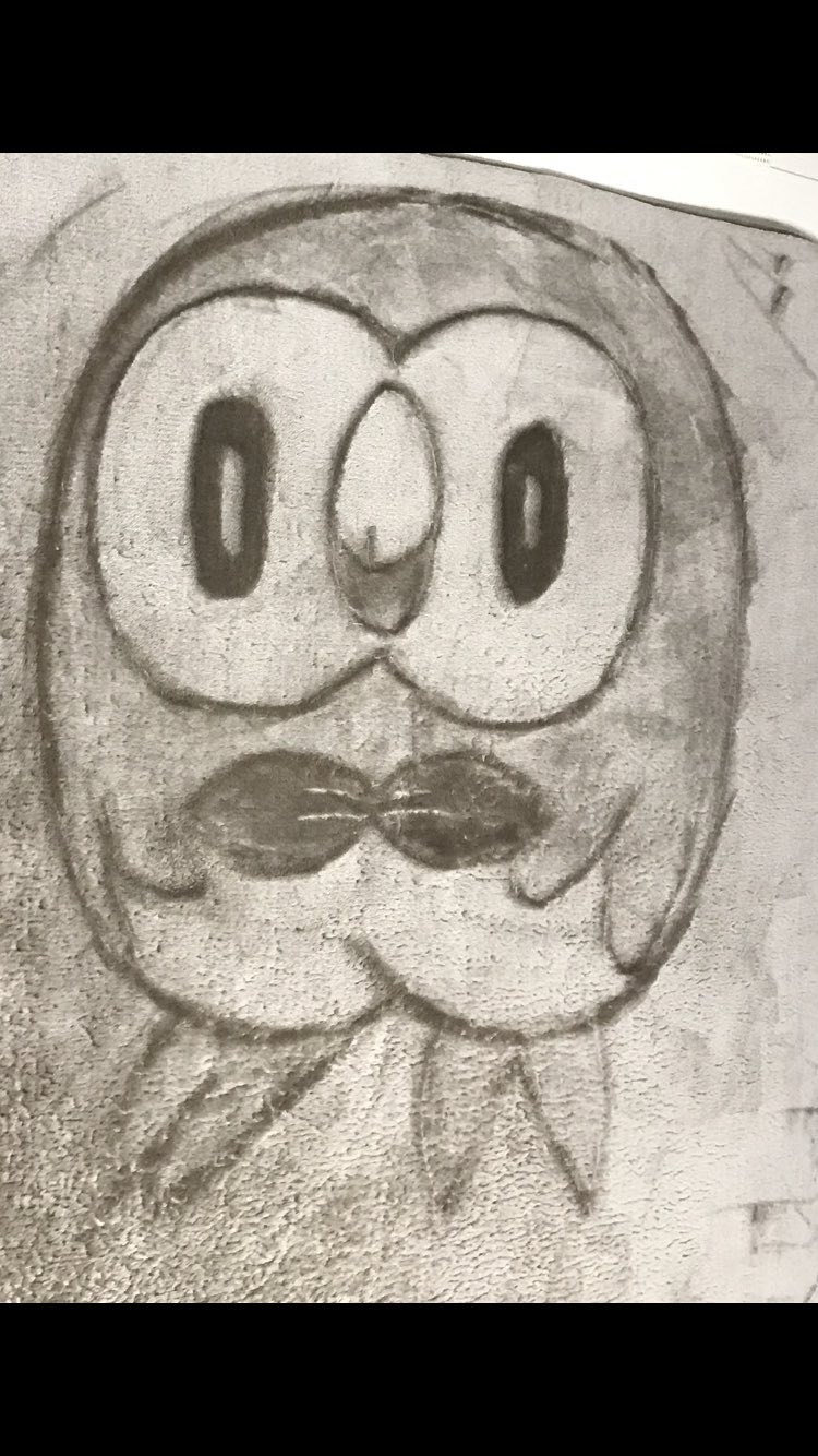 とっくん 絨毯にポケモンサン ムーンに出てくるモクローを描きました 休日なので子供達のリクエストです 絨毯アート カーペットアート ポケモン モクロー T Co Kfzqtzz1i9 Twitter