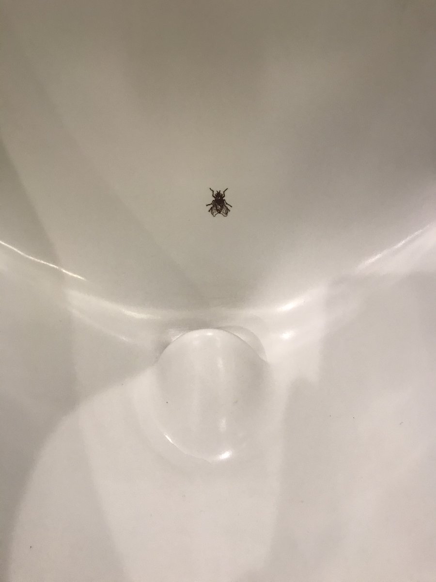 haoworks's tweet photo. Please shooting the fly! #servicedesign #behaviordesign https://t.co/CQVUQQ65Ss
