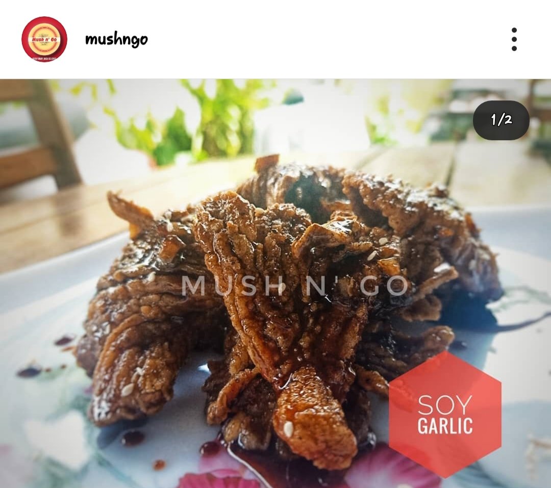 MUSH n' GO tweet media