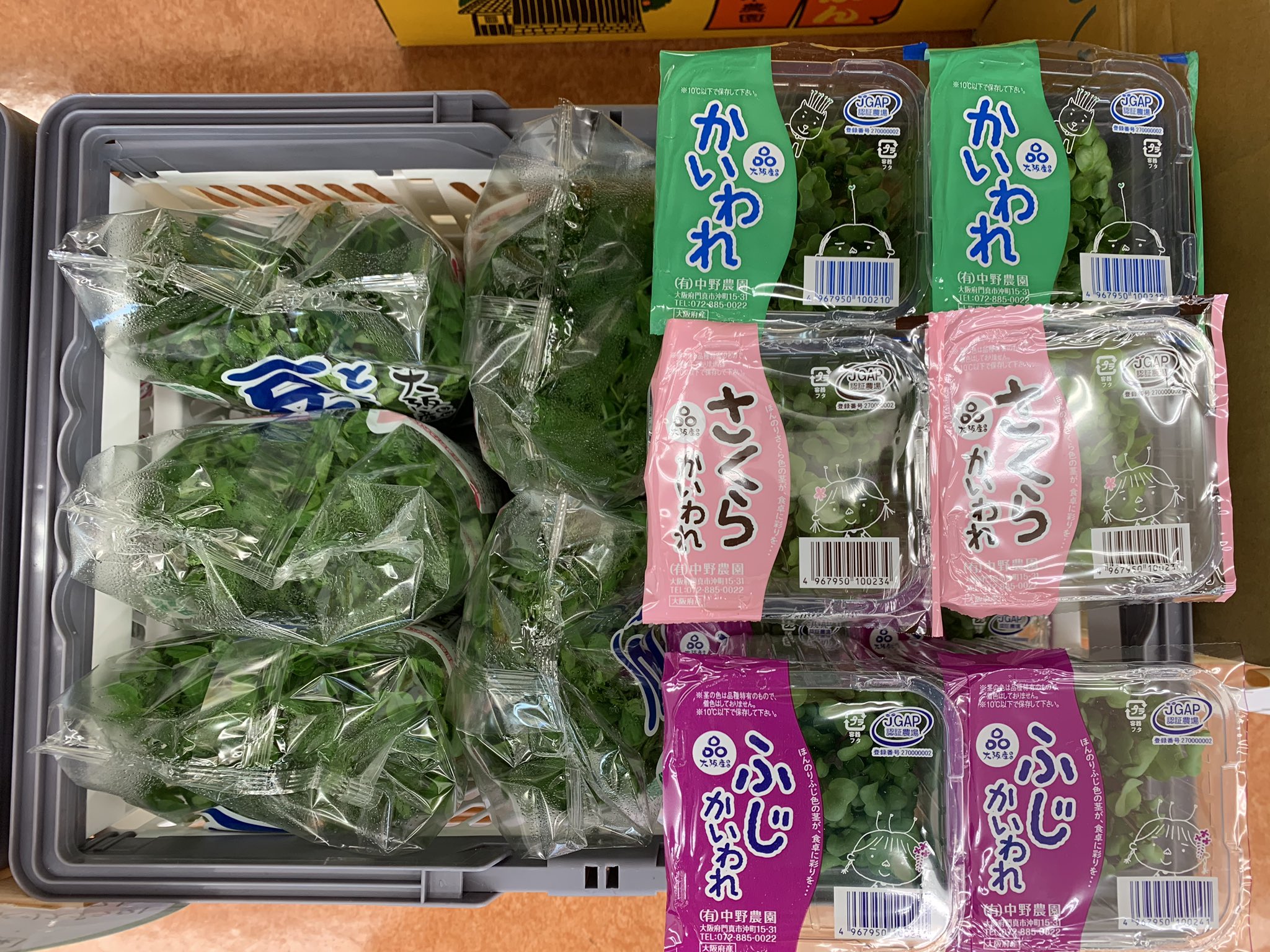 Yacyber ヤサイバー 公式 直売所 農園様の無料登録受付中 Yacyber直売所の生産者様をご紹介いたします 中野農園 さん 中野農園さんでは豆苗からカイワレなどなスプラウト類を栽培さてれている生産者様になります 今回は10種類もの商品を