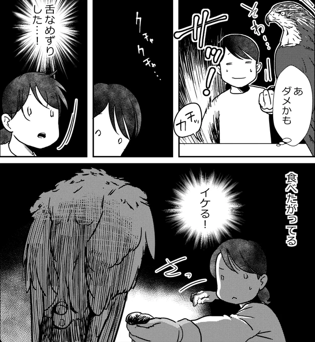 >RT わたしが「食いつかせ」を描いた薄い本で、舌なめずりと表現したのがこの行動。
食べ物を見て口をくちゃくちゃさせる、これ。

ハクトウワシの彼女が気にしているのは、カメラ目線になることからカメラなのか人なのか。
食べたいんだけど、警戒してすぐに食いつけない、けど食べたい。 