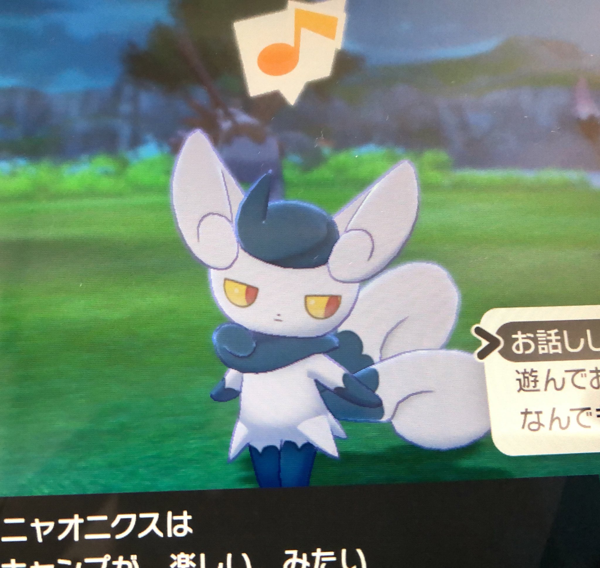 うさまろ ツンデレな見た目と性格をしているニャオニクス メス ってポケモンをご存知でしょうか 名前に引っ張られてネコ科と勘違いしそうですが このビジュアルは確実にうさぎ系だと思います 結論 推せる 左は攻撃する時の姿 ポケモン