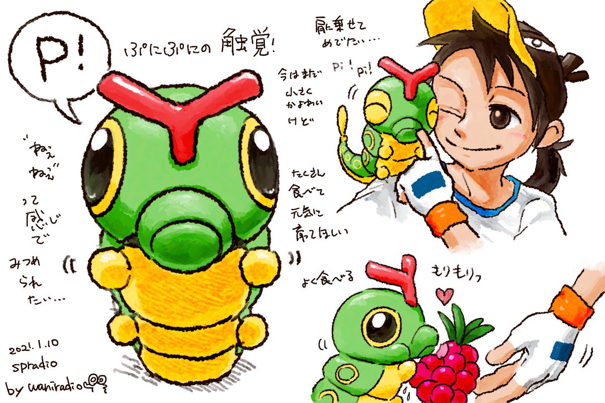 #ポケモンと生活 
#PokemonGO 
#キャタピー
#PokemonLife 
#Caterpie

1日に1匹のポケモンを描くチャレンジ?
10日目はちっちゃて可愛い?(と思う)キャタピー!? 