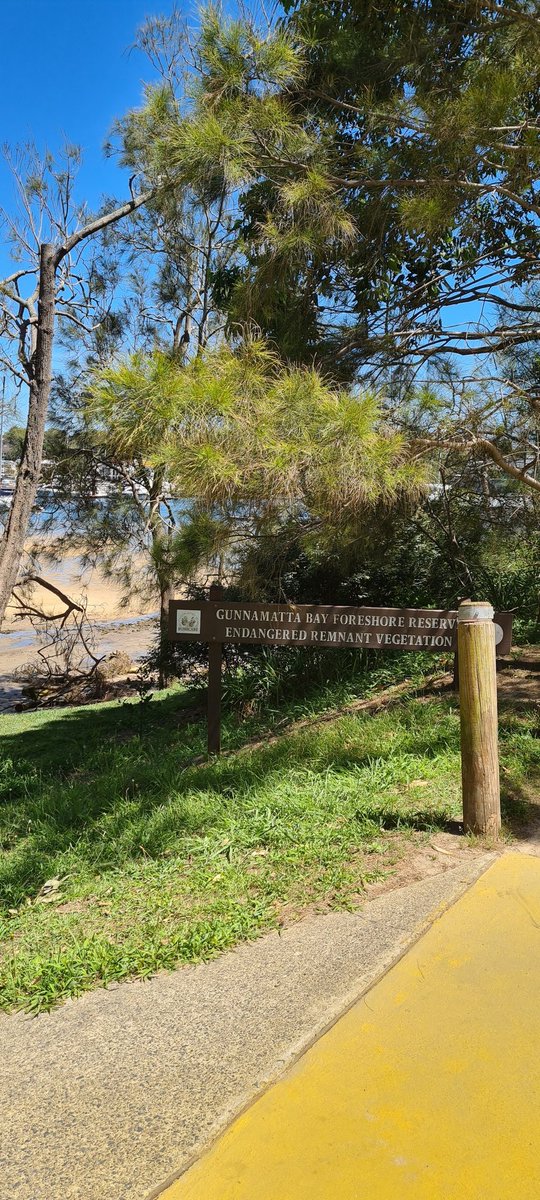 DeannaKatee's tweet photo. Been at the beach for 3 days...now it feels like summer ๐ #Sydney #ImBurnt #ButIUsedSunscreen https://t.co/HrWFwwa9Rm