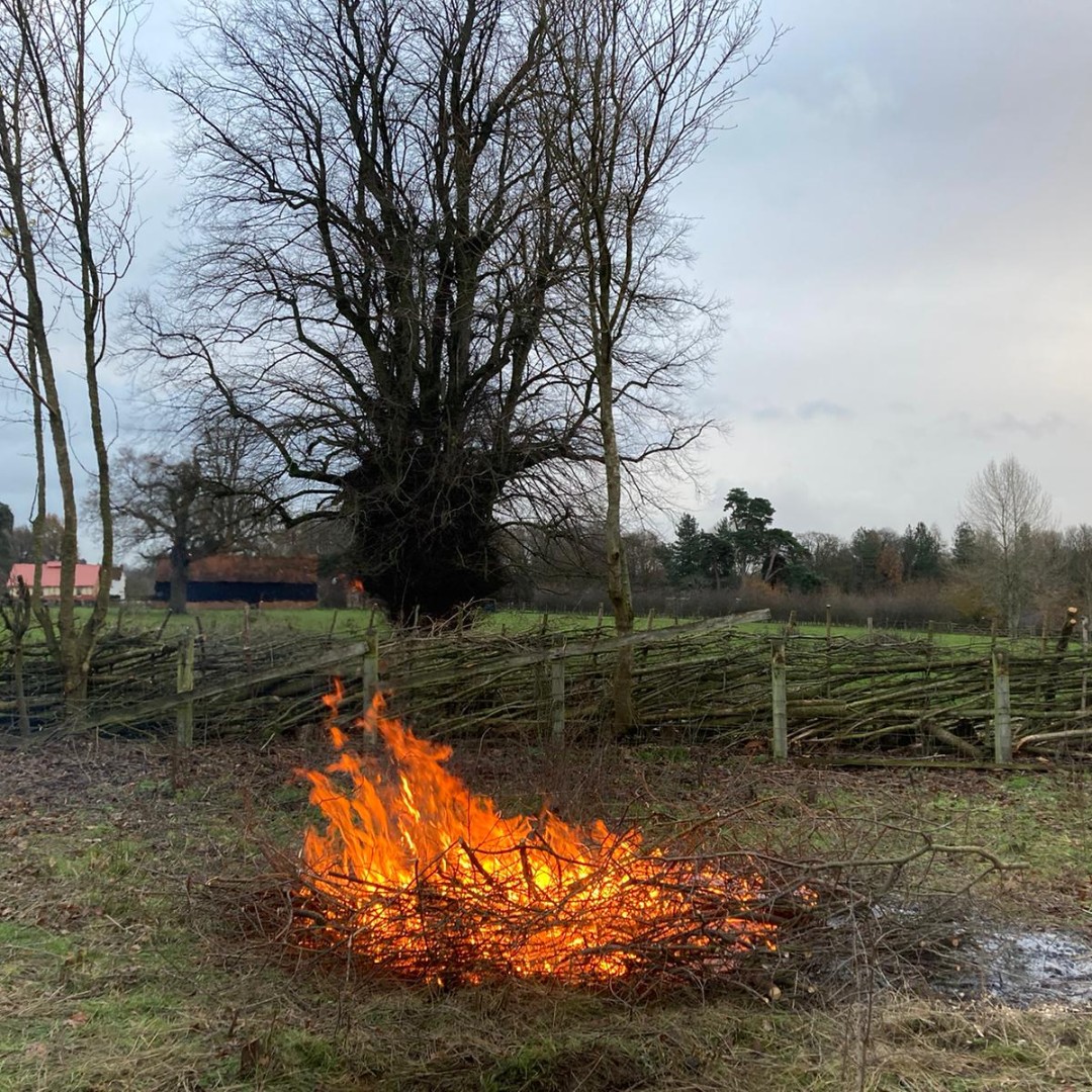 ChilternOAM's tweet photo. Our Estate Team love a good bonfire.
#NatureInLockdown #Bonfire #Hedgelaying #Museum https://t.co/0Q79IhVCcY