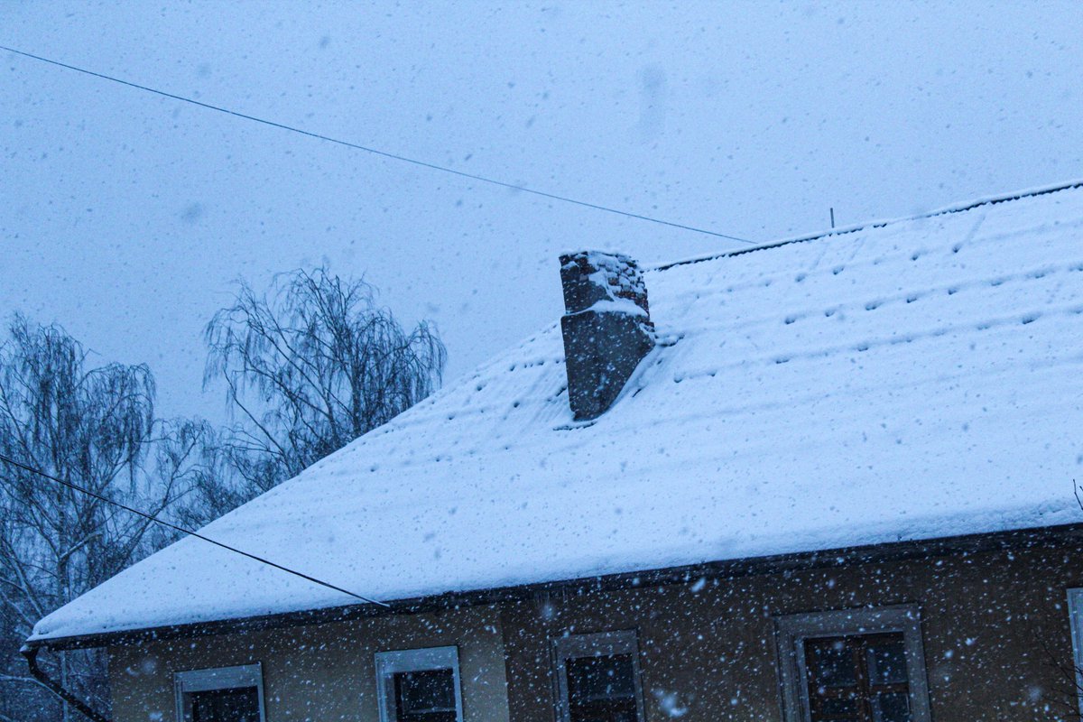 MeteoLatvia's tweet photo. Jelgavā un daudzviet valsts centr. daļā pašlaik stipri snieg. Brīžiem arī puteņo. Sniega sega pēc maniem novērojumiem jau ir 6 cm.
#sniegs #putenis #ziema
@LVGMC_Meteo @boms_tricis @meteozinas @ltvzinas @kairokiitsak @JelgavaLV @AnniinaValtonen https://t.co/naZTCh4TYK