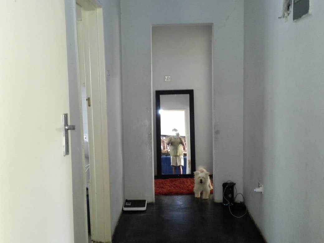 propertygalax2's tweet photo. Avondale - 3 bedroom cottage for rent
✓ Fitted kitchen
✓ Lounge &amp; dining
✓ Built-in wardrobes
✓ Rental fees - US$400
✓ Available for immediate occupation
WhatsApp 0771835705, Call/text (0242)753943 ; 0734157338 #accommodation #cottagesforrent #Harare #Avondale #Zimbabweans https://t.co/91w76pqAbR