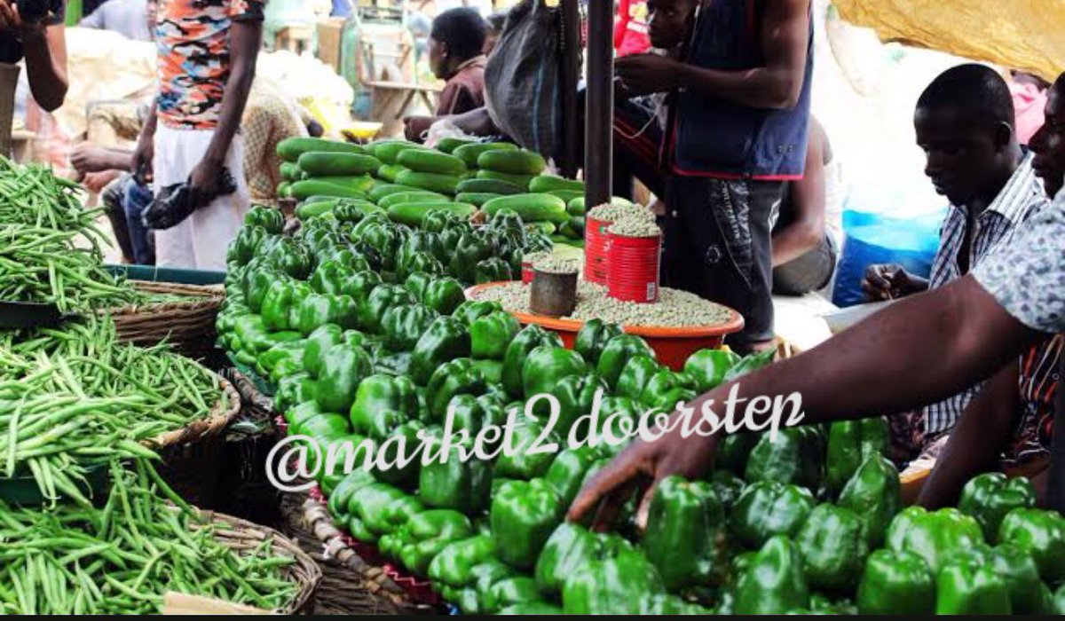 Mz_debz_'s tweet photo. Hi, my name is Debby and I help you shop for fresh groceries and office supplies in bits and bulk and deliver right to your doorstep..

Let me make you groceries shopping stress free even with lagos Hassle. 
I’m just a Dm Away

Plsss Patronize and RT🙏🙏🙏 https://t.co/IqwyvxC2eL
