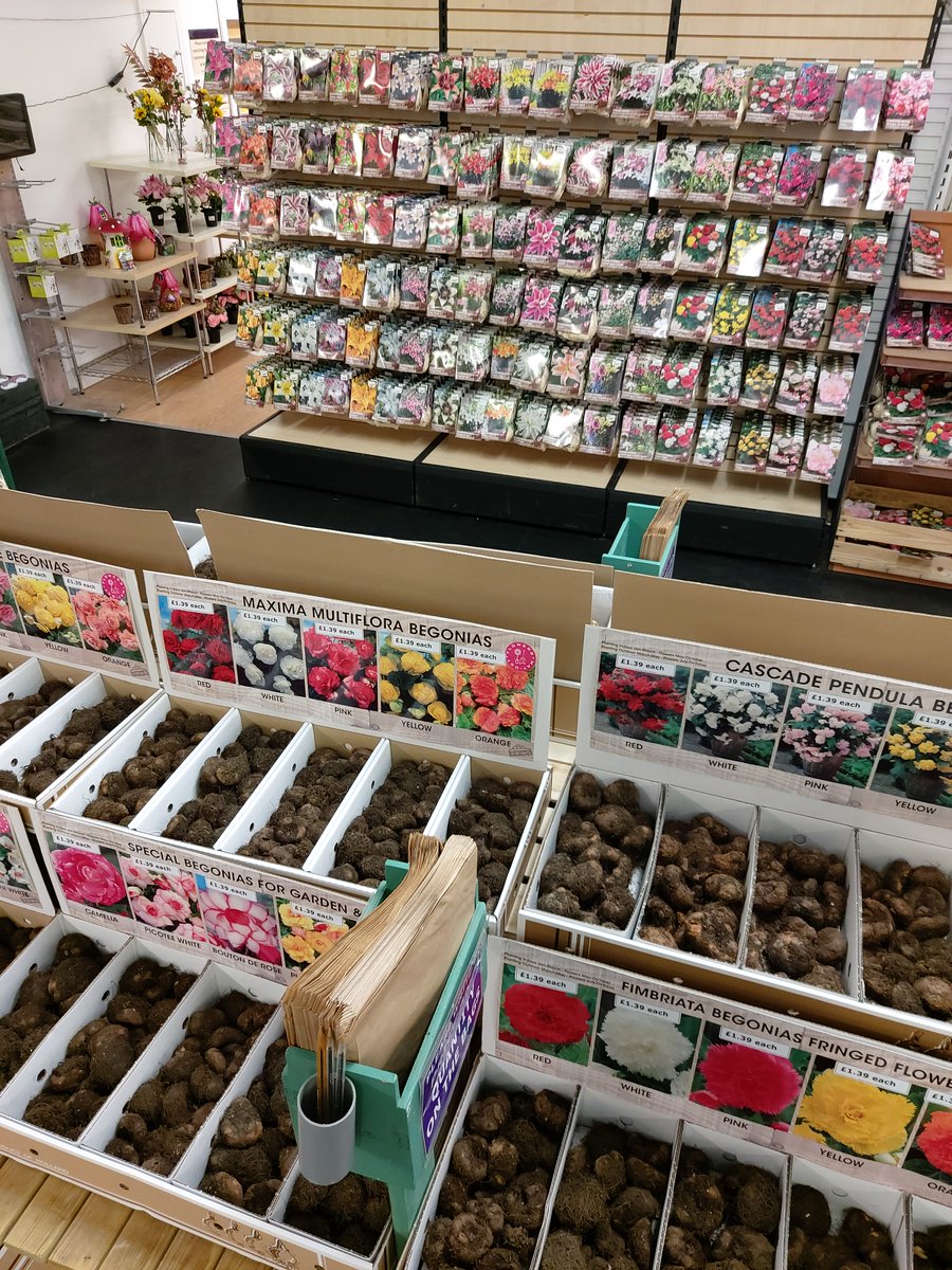 DGCYork's tweet photo. During lockdown, there are plenty of tasks we can be doing ready for the Spring
Our Summer Flowering Bulbs are now in stock and perfect for planning your garden for the months ahead! We have a a great range including; Lillies, Begonias, Dahlias & Gladioli
#EssentialJourneysOnly https://t.co/IVvUSJ2FPl