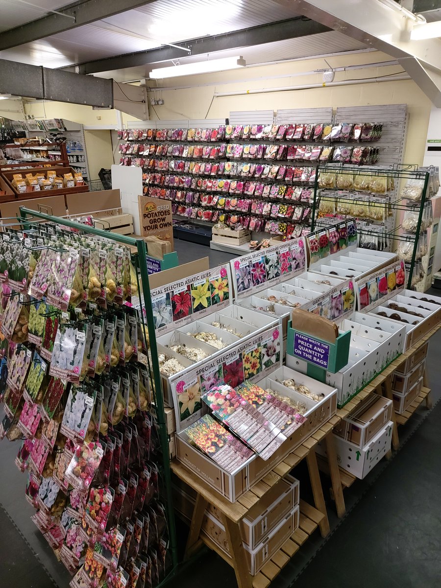 DGCYork's tweet photo. During lockdown, there are plenty of tasks we can be doing ready for the Spring
Our Summer Flowering Bulbs are now in stock and perfect for planning your garden for the months ahead! We have a a great range including; Lillies, Begonias, Dahlias & Gladioli
#EssentialJourneysOnly https://t.co/IVvUSJ2FPl