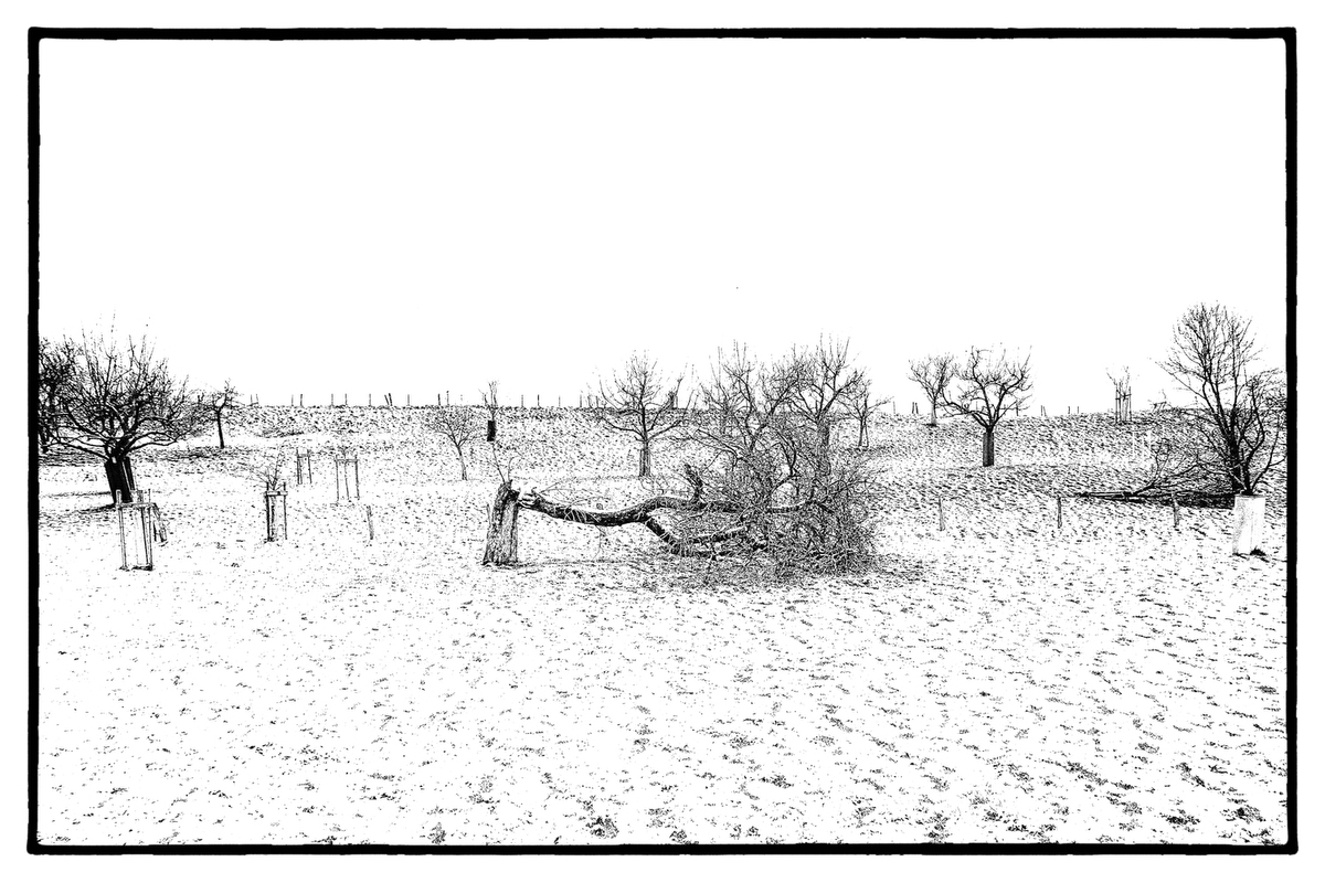 Die aktuellen Zeiten verlangen uns viel ab. Unterstützen wir diejenigen, denen das alles nicht leicht fällt.