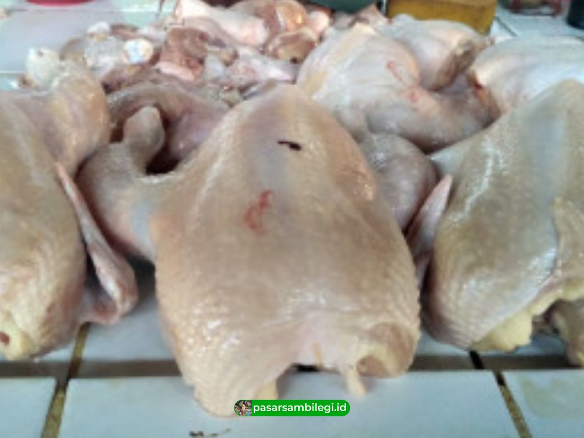 Ayam Potong

pasarsambilegi.id
Belanja Aman Pasti Nyaman

Pasar Sambilegi
Jl. Solo Km 9, Maguwoharjo, Depok, Sleman, DIY

#PasarRakyat
#PasarSambilegi
#Sleman
#Jogja
#BelanjaOnline
#SekolahPasar