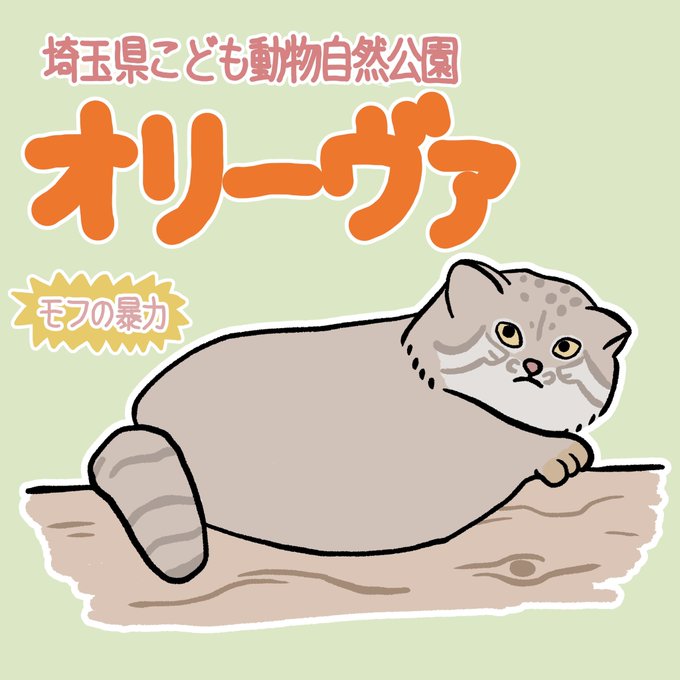 7日関連マヌルネコ祭りのtwitterイラスト検索結果