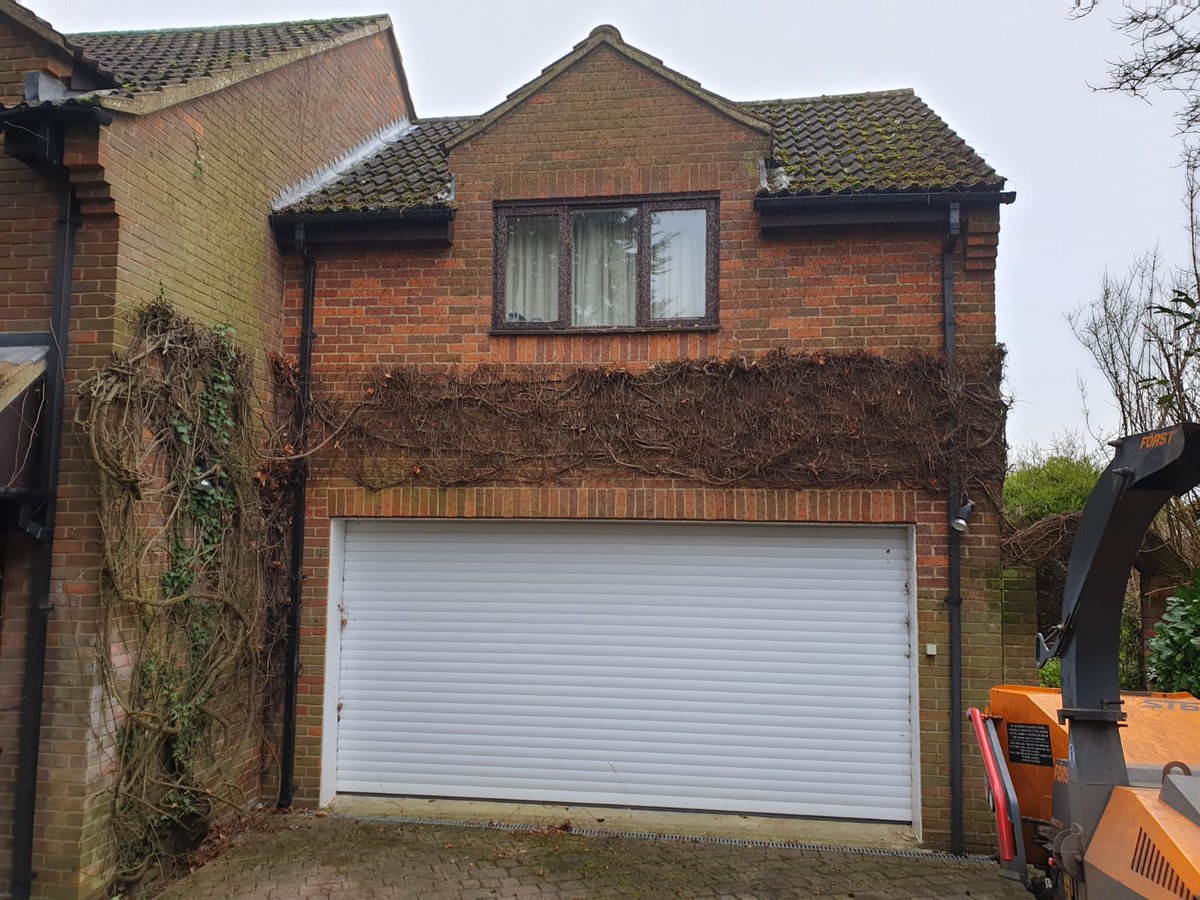 browns_tree's tweet photo. The lads did a nice job cutting back the Virginia Creepers for one of our regulars last week. 

We can offer #contactfree quotes; with nesting season round the corner in March, you’ll want to get in touch and get booked in while you still can! https://t.co/FDsDW9WTQa