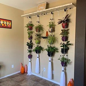 Nice Adjustable plant hanger, multiple plants display.

#planthanger #plants #garden
#indoorgarden #smartgarden
#usa #gardening #easylife
