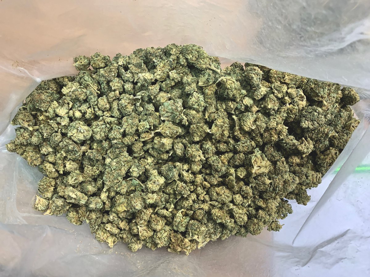 sativapoland's tweet photo. Polecamy susz CBD CRITICAL
#cbd #cbdflowers #cbdhurt #cbdbuds #cbdwholesale #thcfree #vape #cbdvape #vapenation #suszkonopny #sativapoland #legalnetopy #krakow #hash #kosmetyki #kosmetykikonopne #konopia #konopie #rolls #prerolls #420 #sativa #sativapoland https://t.co/BRDb1eKmnk